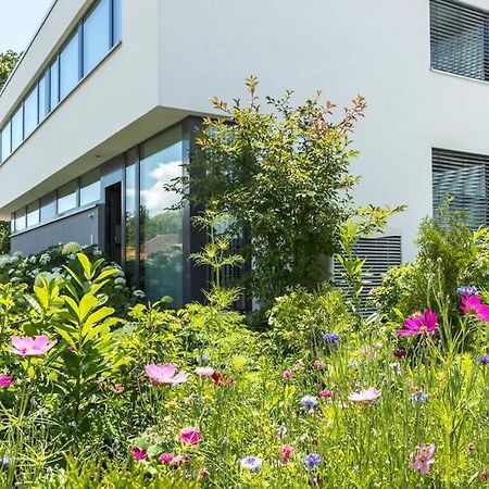 Mettnau-Apartment Радолфцел ам Бодензее Екстериор снимка